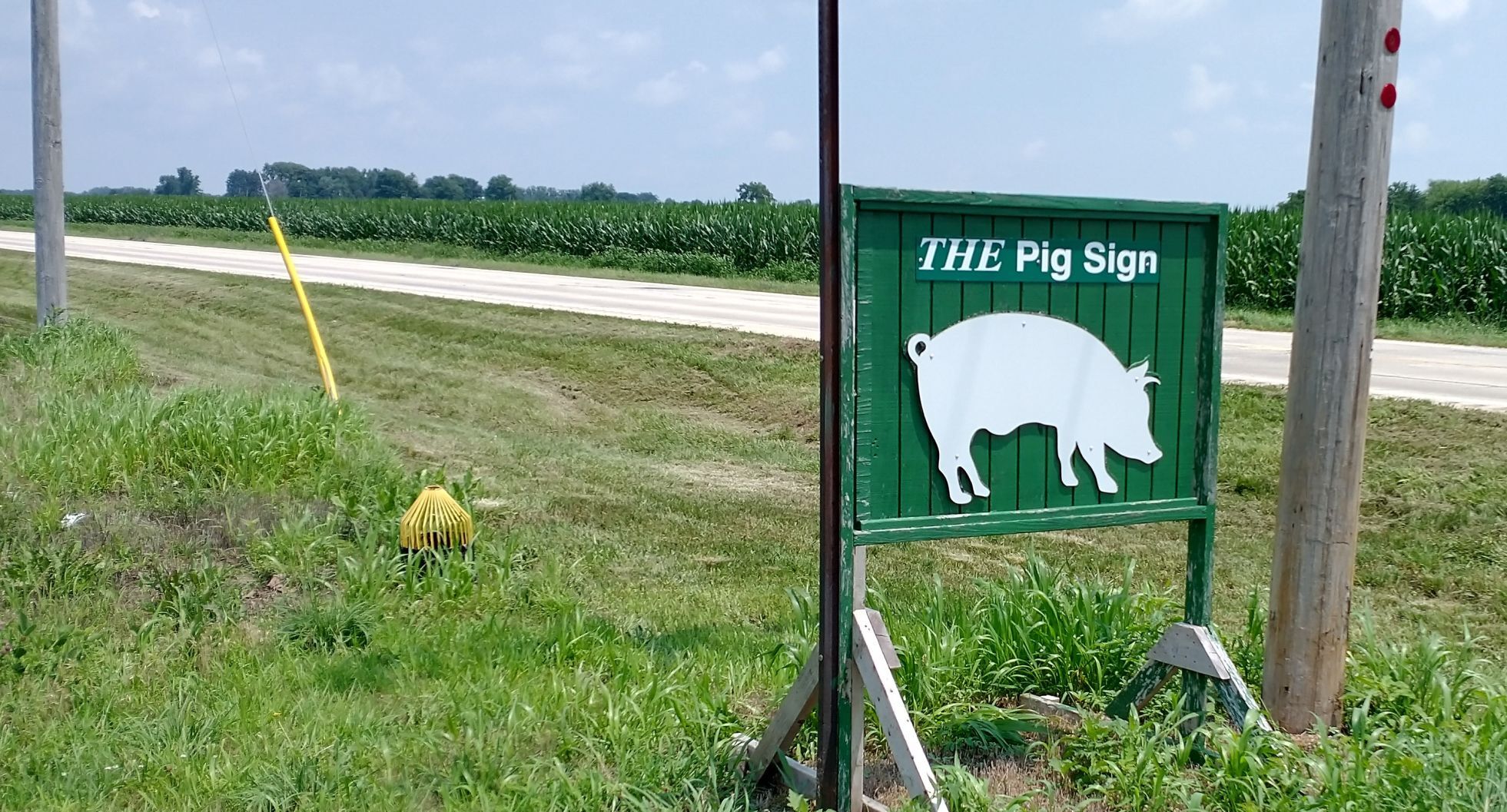 07102021 BAGpig.jpg